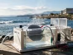 Questo nanogeneratore trasforma l’evaporazione dell’acqua di mare in elettricità e non si ferma mai
