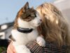 Questo nuovo collare per animali domestici con monitoraggio della salute è come uno smartwatch per cani e gatti