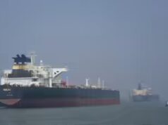 Gli Emirati Arabi Uniti entreranno nella guerra con l’Iran? Abu Dhabi spinge gli Stati Uniti, alleati, a riaprire lo Stretto di Hormuz con la forza