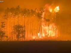 Enormi incendi in Georgia distruggono decine di case