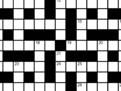 Il cruciverba della domenica indù n. 55