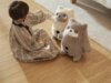 I nuovi animali domestici con intelligenza artificiale di SwitchBot rispondono al tuo comportamento, non fanno pipì sul tappeto