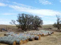 Dopo che un incendio ha incendiato il loro ranch nel Nebraska, donatori anonimi sono venuti in loro soccorso