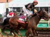 Golden Tempo salterà Preakness Stakes, ponendo tremendous all’offerta Triple Crown poiché l’allenatore cita la salute a lungo termine