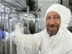 La struttura di biocontrollo prende di mira la foresta invasiva che minaccia gli insetti