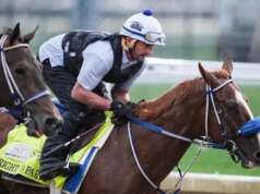 Il diritto alla festa cancellato dal Kentucky Derby