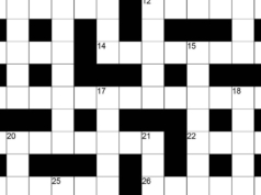 Il cruciverba indù della domenica n. 58