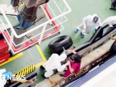 Nave da crociera con epidemia di hantavirus salperà per le Isole Canarie