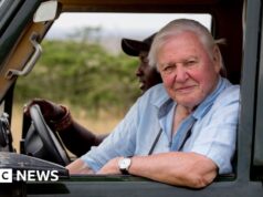 Come Sir David Attenborough ha costruito la “Inexperienced Hollywood”