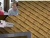 Lo streamer 81enne di Minecraft GrammaCrackers è stato schiacciato durante lo streaming di raccolta fondi per il cancro