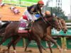 Golden Tempo vince il 152esimo Kentucky Derby, DeVaux diventa la prima donna advert allenare il suo vincitore