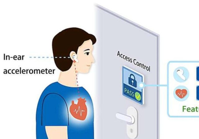 Ear-accelerometer.jpg