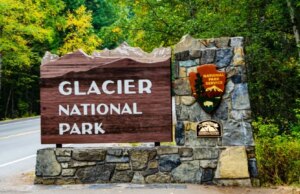 L’apparente attacco di un orso uccide un escursionista scomparso nel Glacier Nationwide Park del Montana