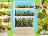 I migliori sistemi per il giardino interno: li ho testati tutto l’anno (2026)