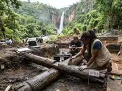 Una struttura in legno di 476.000 anni trovata a Kalambo Falls sta cambiando la storia umana