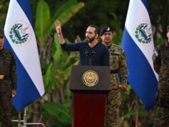 Il presidente di El Salvador, amante dei Bitcoin, avrebbe congelato i beni dei notiziari locali