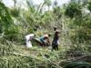 La difficile situazione dei coltivatori di foglie di betel è miserabile mentre le tempeste di burrasca colpiscono i campi, si aspetta che il nuovo governo dia sollievo rapidamente