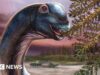 Nuovo dinosauro gigante identificato da fossili in Thailandia