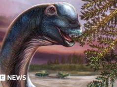 Nuovo dinosauro gigante identificato da fossili in Thailandia