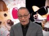 David Sedaris sui cani e sulle persone che ne sono ossessionate