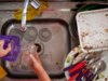 Un’azienda pulirà il tuo brutto appartamento gratuitamente se lasci che lo registri