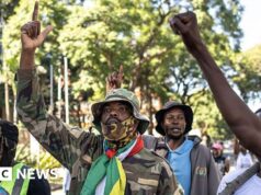 Il Sudafrica condanna i “video falsi” di presunti attacchi xenofobi