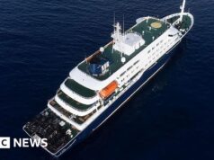 L’Hantavirus potrebbe essersi diffuso tra i passeggeri delle navi da crociera, afferma l’OMS