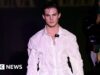 L’influencer di Looksmaxxing Clavicular è stato accusato di presunta sparatoria advert un alligatore