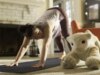 Roomba Inventor ora vuole che tu possieda un animale domestico robotic AI