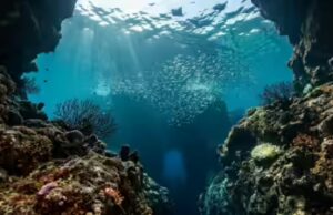 Le 5 fosse oceaniche più profonde della Terra: perché un bacino possiede ogni singolo slot