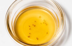 Le mosche della frutta sono qui. Un entomologo spiega come sbarazzarsene