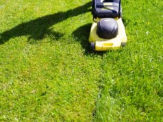 Prendilo da un ragazzo di campagna, questi 5 errori di falciatura del prato stanno uccidendo la tua erba