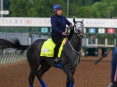 Il cavallo del Kentucky Derby si è graffiato dopo aver lanciato il fantino mentre veniva caricato al cancello di partenza