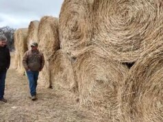 Gli allevatori isolati del Nebraska scoprono di non essere soli