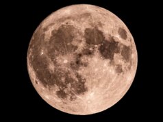 Fase lunare oggi: come sarà la Luna il 1 maggio