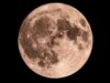 Fase lunare oggi: come sarà la Luna il 2 maggio