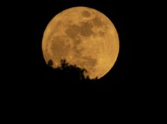 Cos’è una Luna Blu? Perché la luna piena di maggio è così rara.