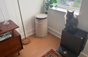 Il purificatore d’aria Dreame FP10 pulisce la pelliccia dal proprio filtro. Altrettanto importante è che si abbina all’estetica del mio soggiorno.