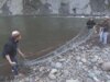 La protezione del salmone preserva lo stile di vita di una tribù del Pacifico nordoccidentale