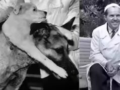 Incontra Vladimir Demikhov: scienziato che ha creato un cane a due teste e ha cambiato per sempre la medicina