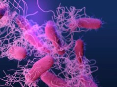 Gli scienziati identificano una potenziale nuova fonte di superbatteri resistenti agli antibiotici e non è quello che pensi