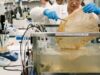 Gli scienziati sviluppano un supermateriale “vivente” prodotto da batteri che potrebbe sostituire la plastica