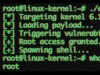 Un nuovo pericoloso exploit Linux offre agli aggressori l’accesso root a innumerevoli laptop