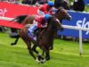 Rahiebb corre alla resa dei conti della Gold Cup per Ascot