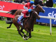 Rahiebb corre alla resa dei conti della Gold Cup per Ascot
