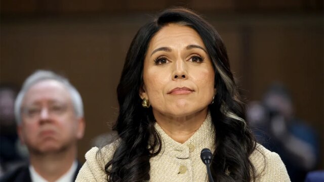 tulsi-gabbard-senate-intelligence-committee-hearing.jpg