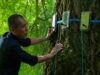 Gli alberi hanno molto da dirci nel movie drammatico ed ecologico “Silent Good friend”