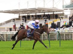 Oggi su Sky Sports activities Racing: in evidenza Windsor, Newbury, Lingfield e Wolverhampton