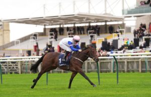 Oggi su Sky Sports activities Racing: in evidenza Windsor, Newbury, Lingfield e Wolverhampton